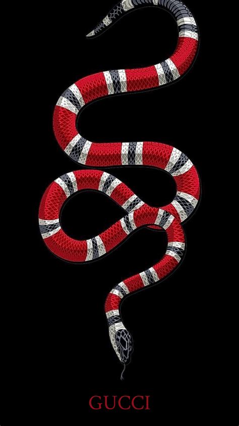 what breed is the gucci snake|Gucci snake meaning.